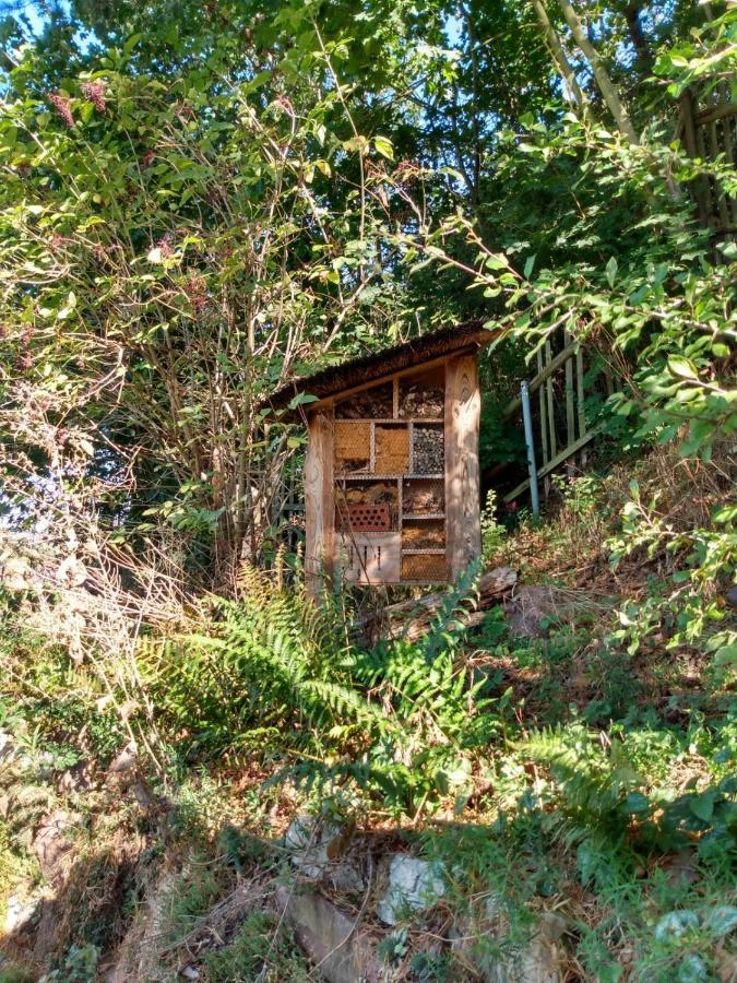 Вилла Natuerlich Kirchner Haus Katrin Эйзенах Экстерьер фото